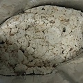 2020-01-31, 13_29_43.jpg