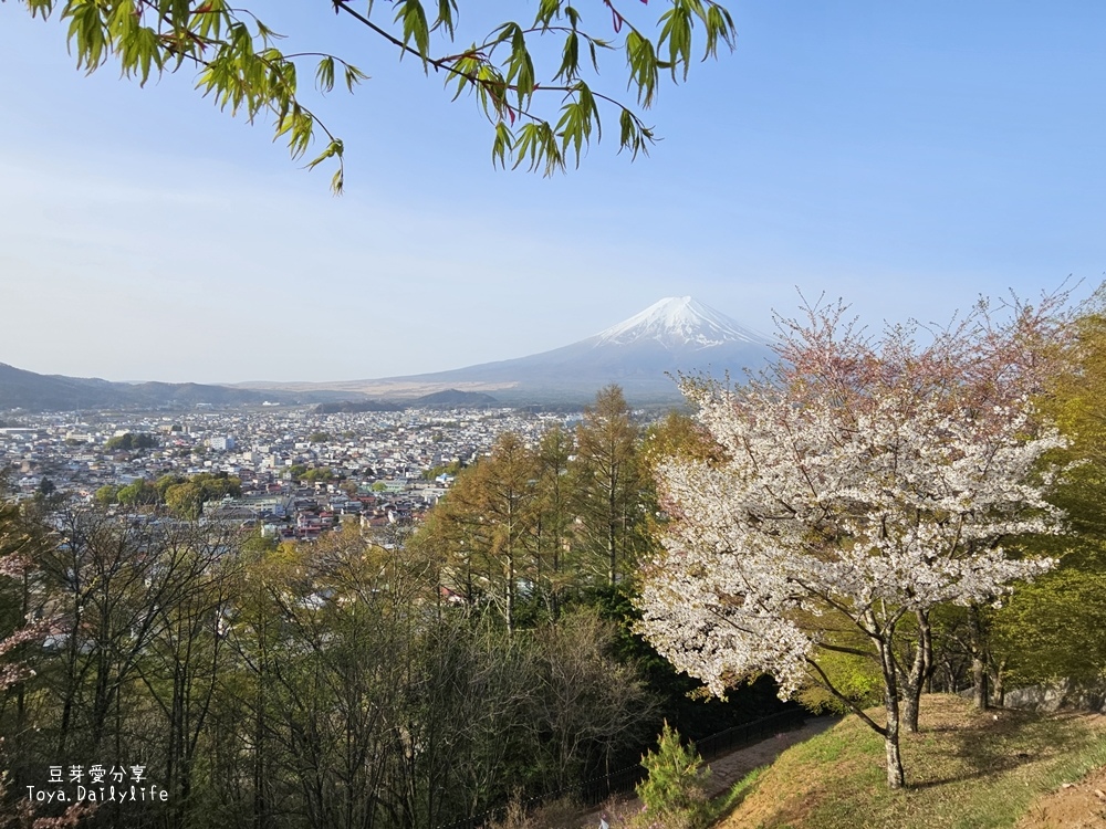 新倉山淺間公園｜忠靈塔 + 富士山 = 明信片般美景 . 若