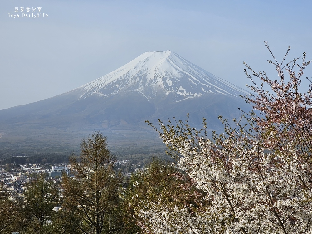 新倉山淺間公園｜忠靈塔 + 富士山 = 明信片般美景 . 若