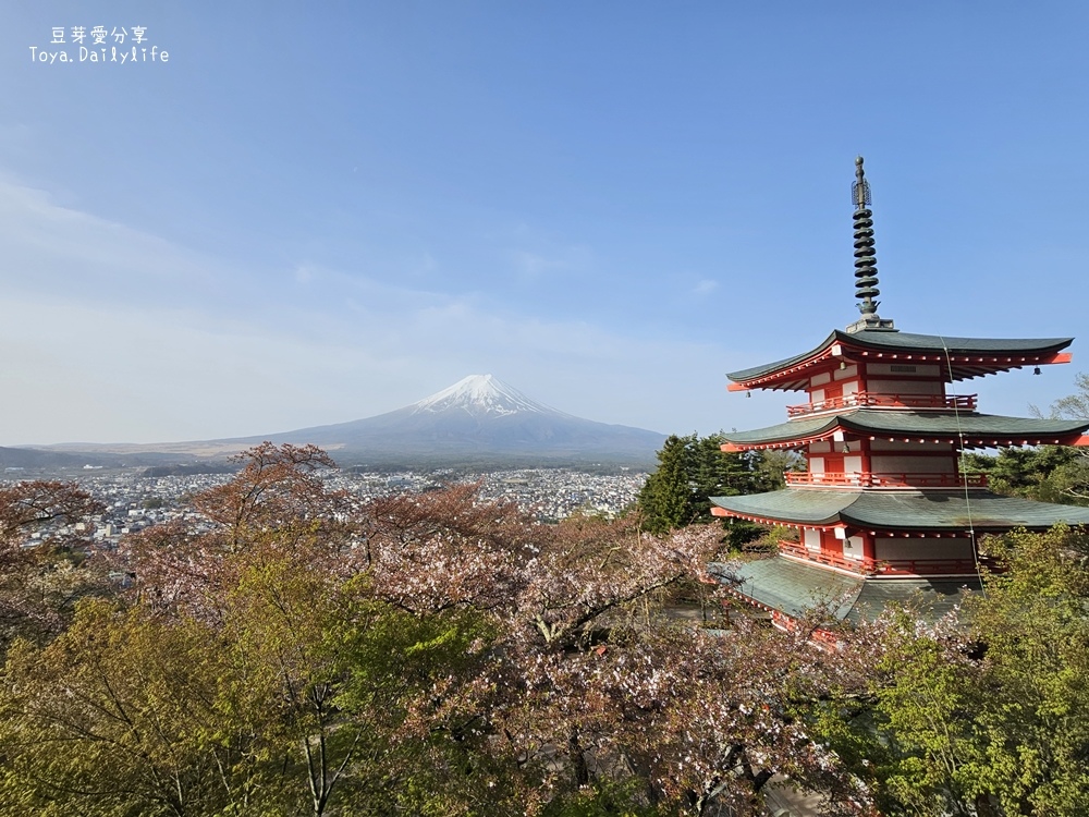 新倉山淺間公園｜忠靈塔 + 富士山 = 明信片般美景 . 若