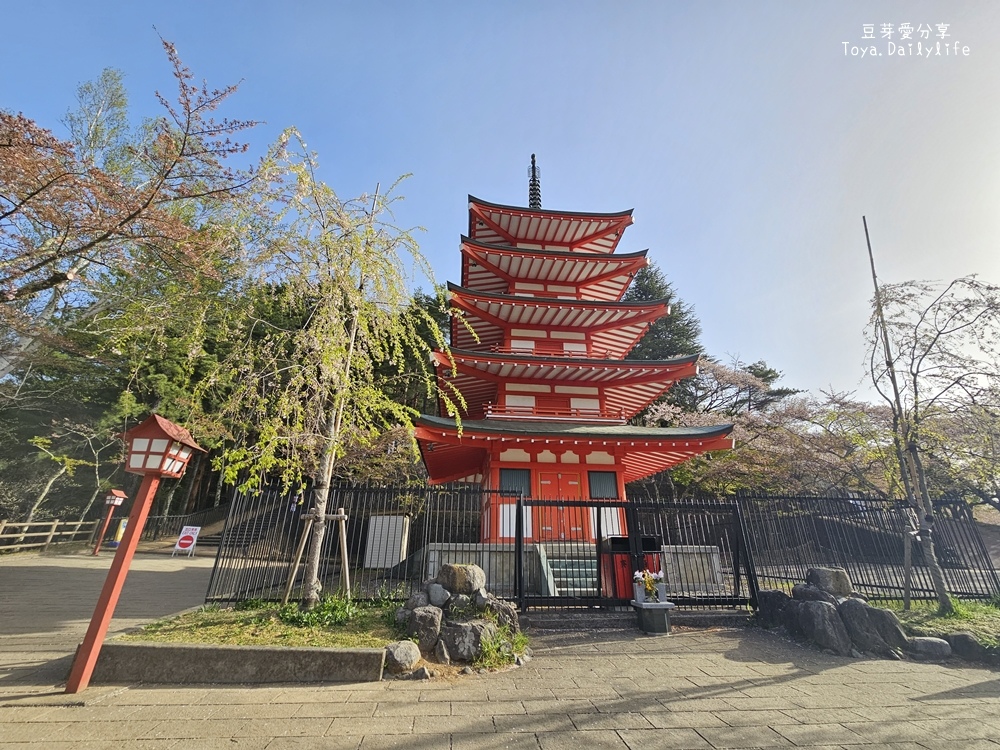 新倉山淺間公園｜忠靈塔 + 富士山 = 明信片般美景 . 若