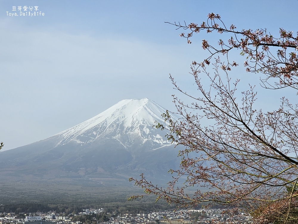 新倉山淺間公園｜忠靈塔 + 富士山 = 明信片般美景 . 若