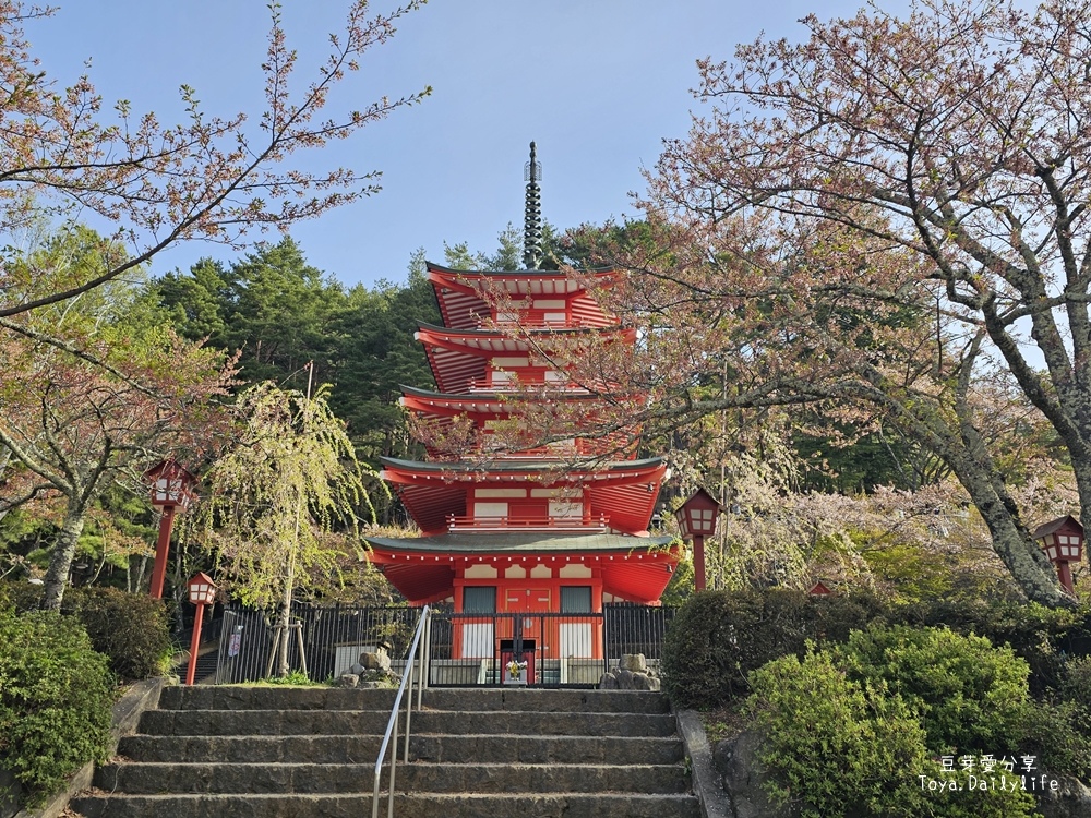 新倉山淺間公園｜忠靈塔 + 富士山 = 明信片般美景 . 若