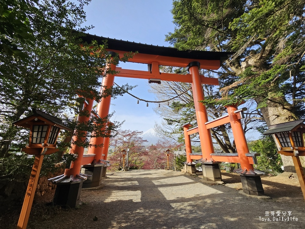 新倉山淺間公園｜忠靈塔 + 富士山 = 明信片般美景 . 若