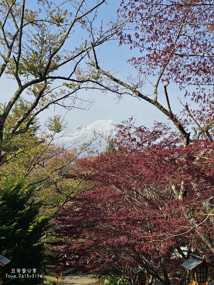 新倉山淺間公園｜忠靈塔 + 富士山 = 明信片般美景 . 若