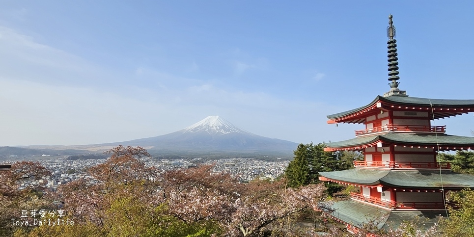 新倉山淺間公園｜忠靈塔 + 富士山 = 明信片般美景 . 若