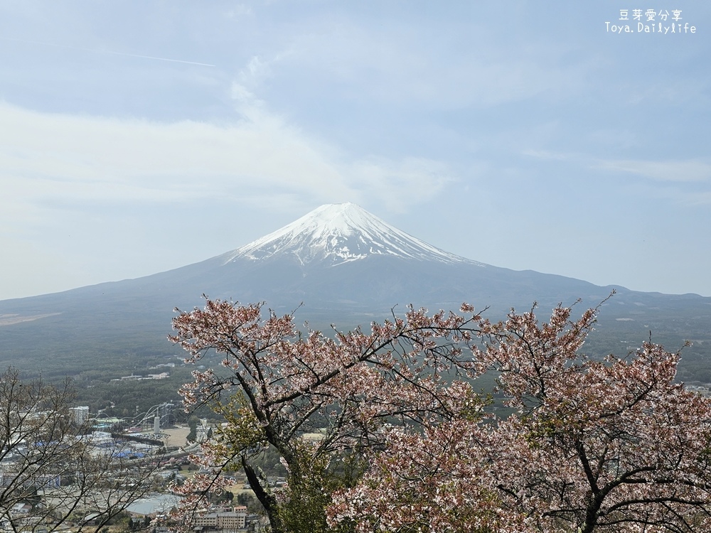 河口湖天上山公園｜ 搭纜車到天上山公園看富士山及河口湖美景🌱