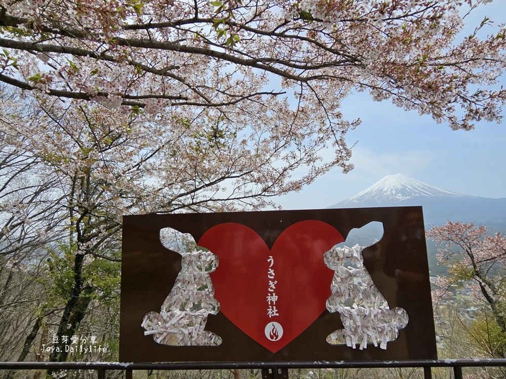 河口湖天上山公園｜ 搭纜車到天上山公園看富士山及河口湖美景🌱