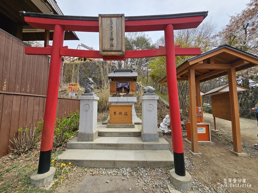 河口湖天上山公園｜ 搭纜車到天上山公園看富士山及河口湖美景🌱