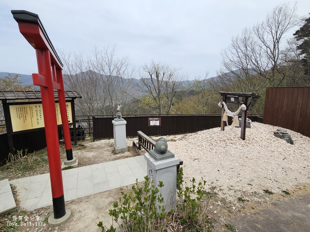 河口湖天上山公園｜ 搭纜車到天上山公園看富士山及河口湖美景🌱