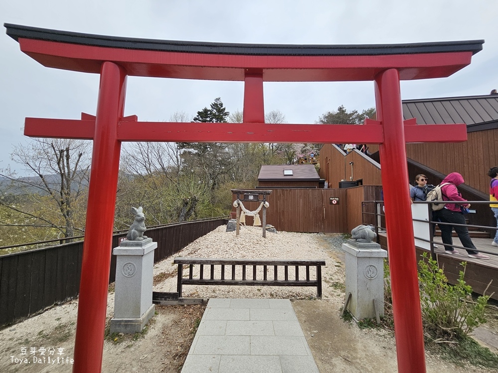 河口湖天上山公園｜ 搭纜車到天上山公園看富士山及河口湖美景🌱