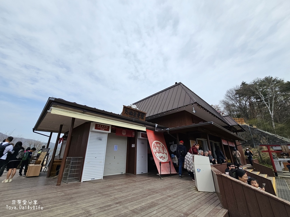 河口湖天上山公園｜ 搭纜車到天上山公園看富士山及河口湖美景🌱