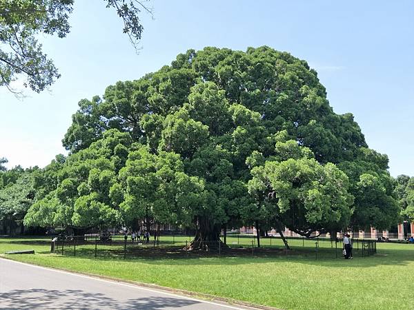 upload00018.jpg upload00018.jpg