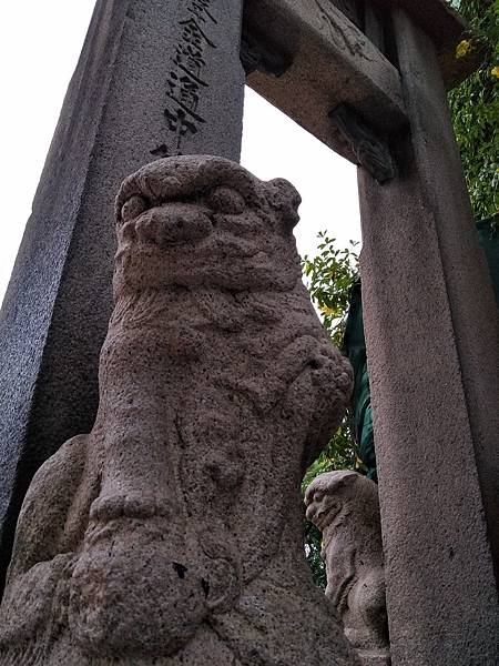 upload00014.jpg upload00014.jpg