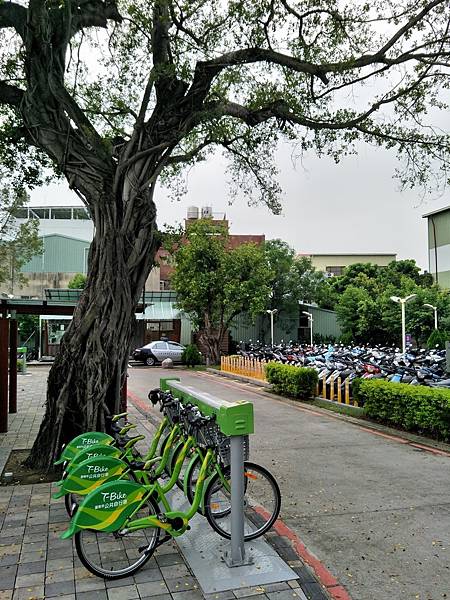 upload00004.jpg upload00004.jpg