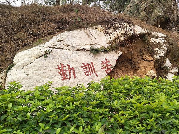 upload00013.jpg upload00013.jpg