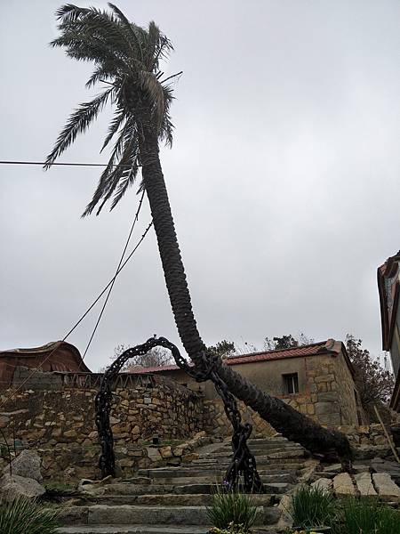 upload00039.jpg upload00039.jpg