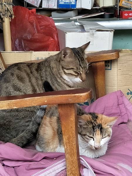 upload00063.jpg upload00063.jpg