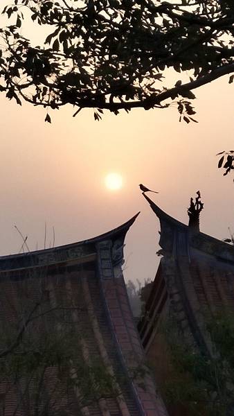 upload00010.jpg upload00010.jpg