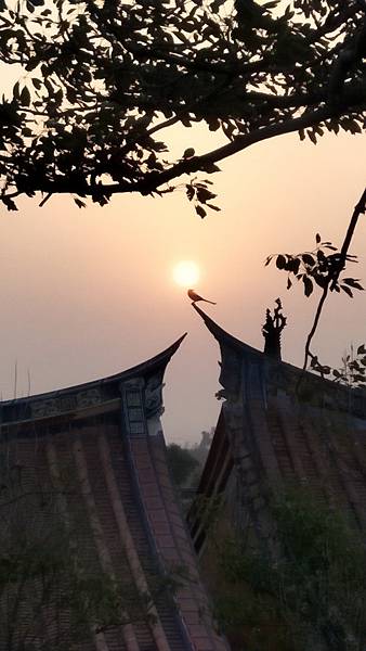 upload00009.jpg upload00009.jpg