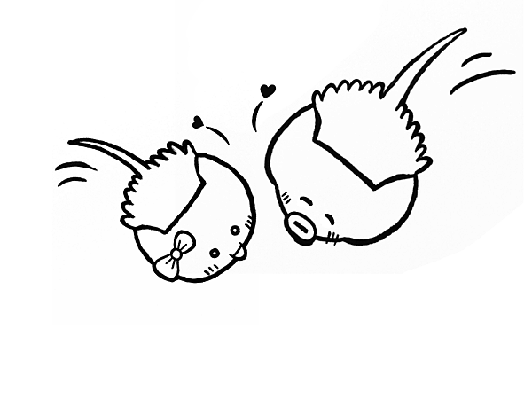 無標題26-1.png 無標題26-1.png