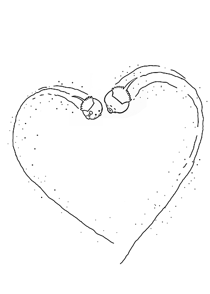 無標題31.png 無標題31.png