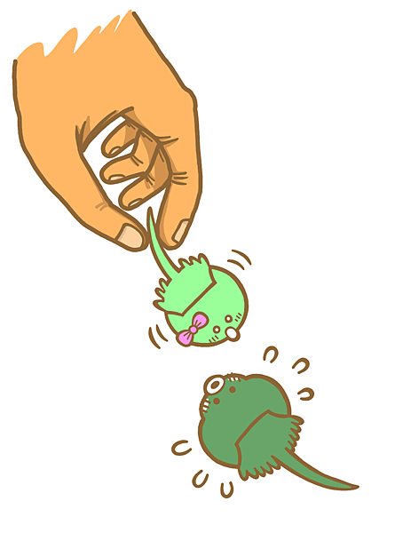 珍愛夫妻魚.png 珍愛夫妻魚.png