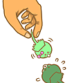 珍愛夫妻魚.png