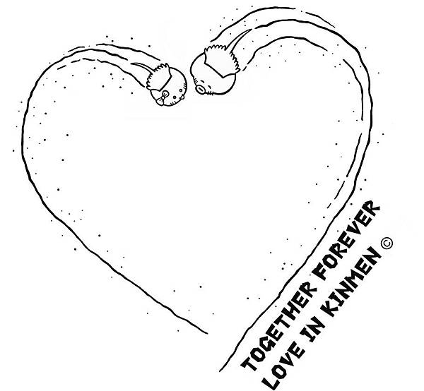 upload201.jpg upload201.jpg