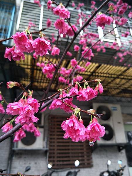 upload006.jpg upload006.jpg