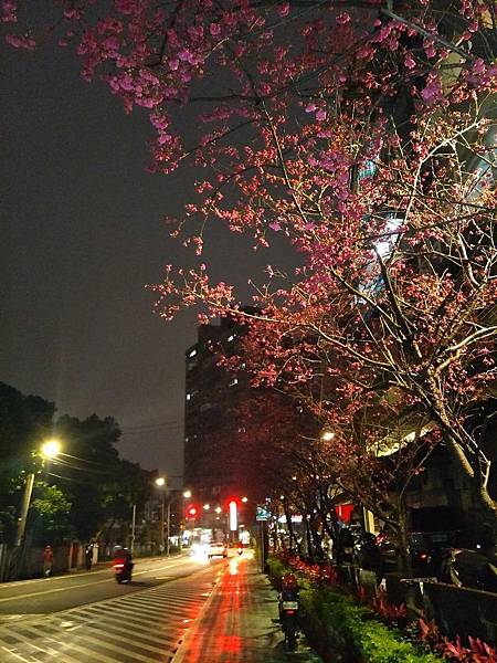 upload007.jpg upload007.jpg