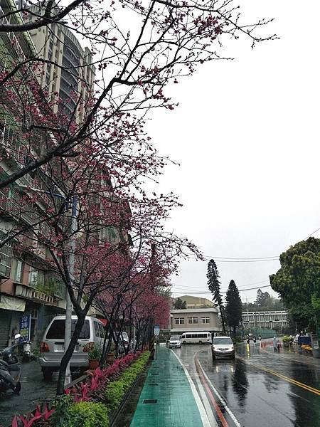 upload004.jpg upload004.jpg