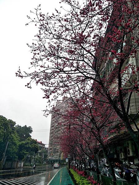 upload001.jpg upload001.jpg