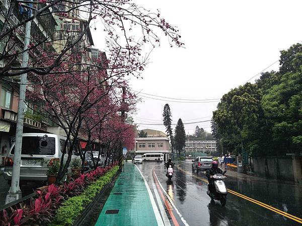 upload005.jpg upload005.jpg