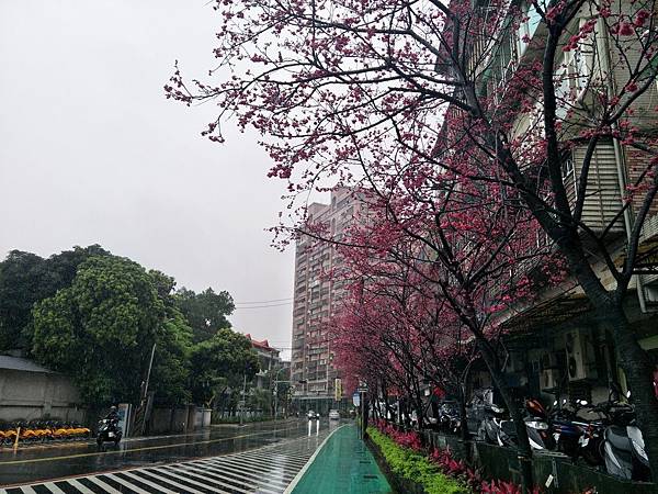 upload002.jpg upload002.jpg