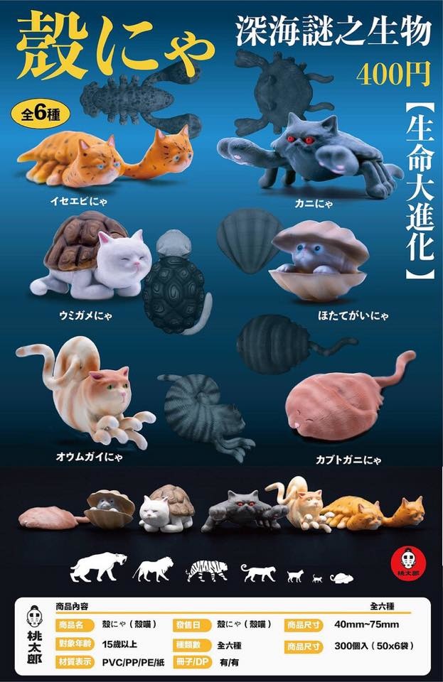 2019深海謎之生物 殼貓.jpg