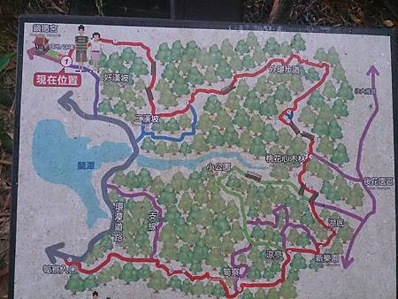 DSC_1750.jpg DSC_1750.jpg