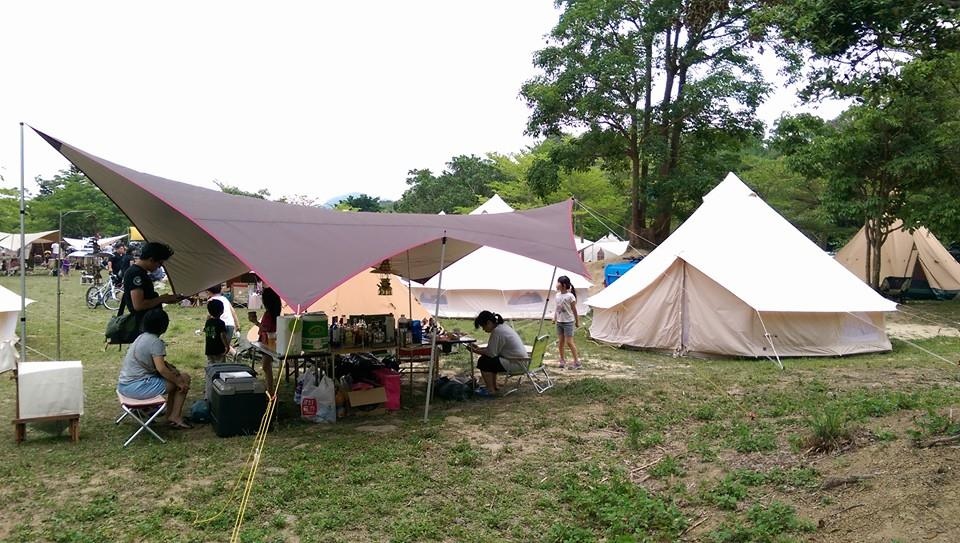 碟型棕色樣式搭配熊帳