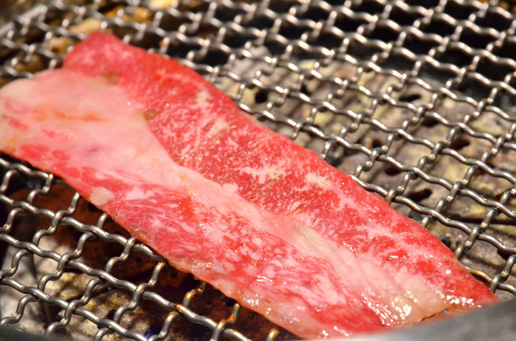 LSC_1589.JPG LSC_1589.JPG