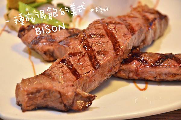 BISON BISON