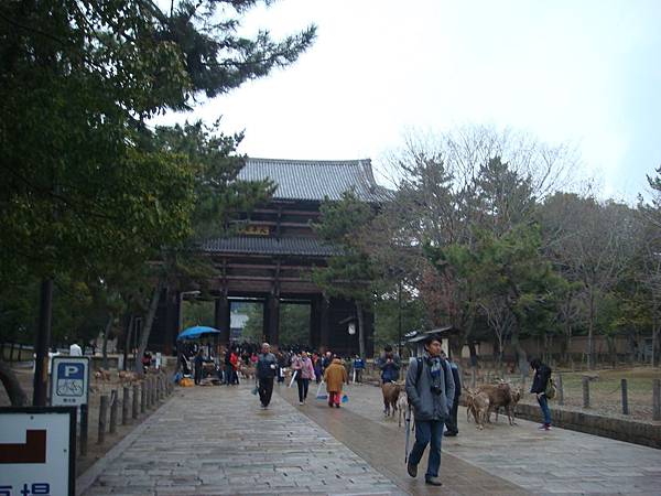 奈良東大寺