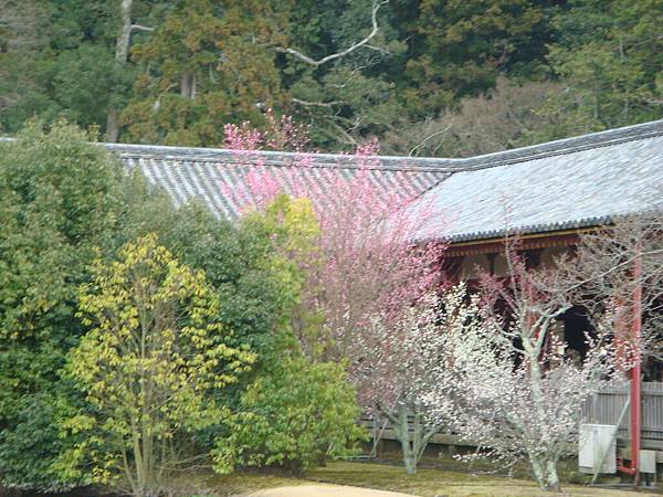 奈良東大寺