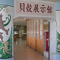 高雄旗津-貝殼展示館