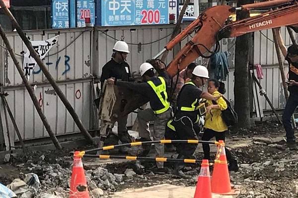 大巨蛋移樹防災工程核定,護樹團阻台北大巨蛋十八般武藝全上場 大巨蛋移樹防災工程核定,護樹團阻台北大巨蛋十八般武藝全上場