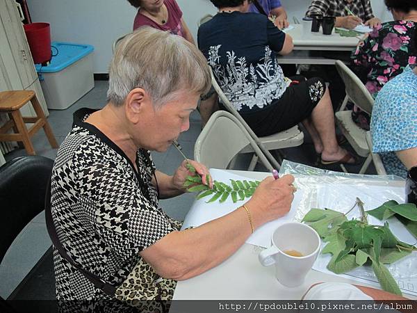 2011.8.18植物調查 蕭彗岑攝36.JPG