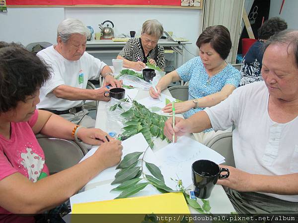 2011.8.18植物調查 蕭彗岑攝46.JPG