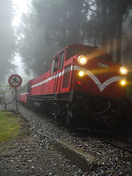 當天阿里山天氣霧濛濛~ 我在旁邊等候小火車