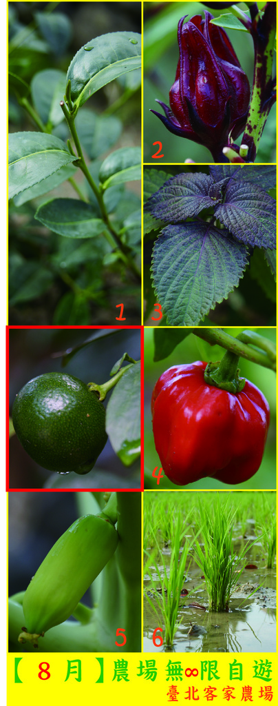 作物提示.jpg 作物提示.jpg