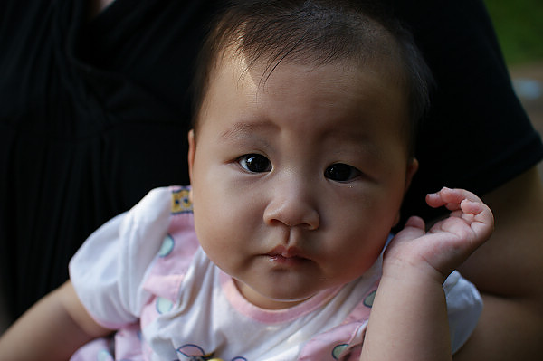DSC08973.jpg