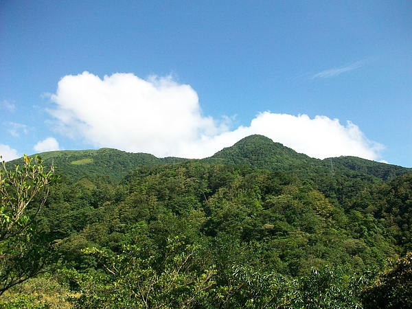 美麗山景